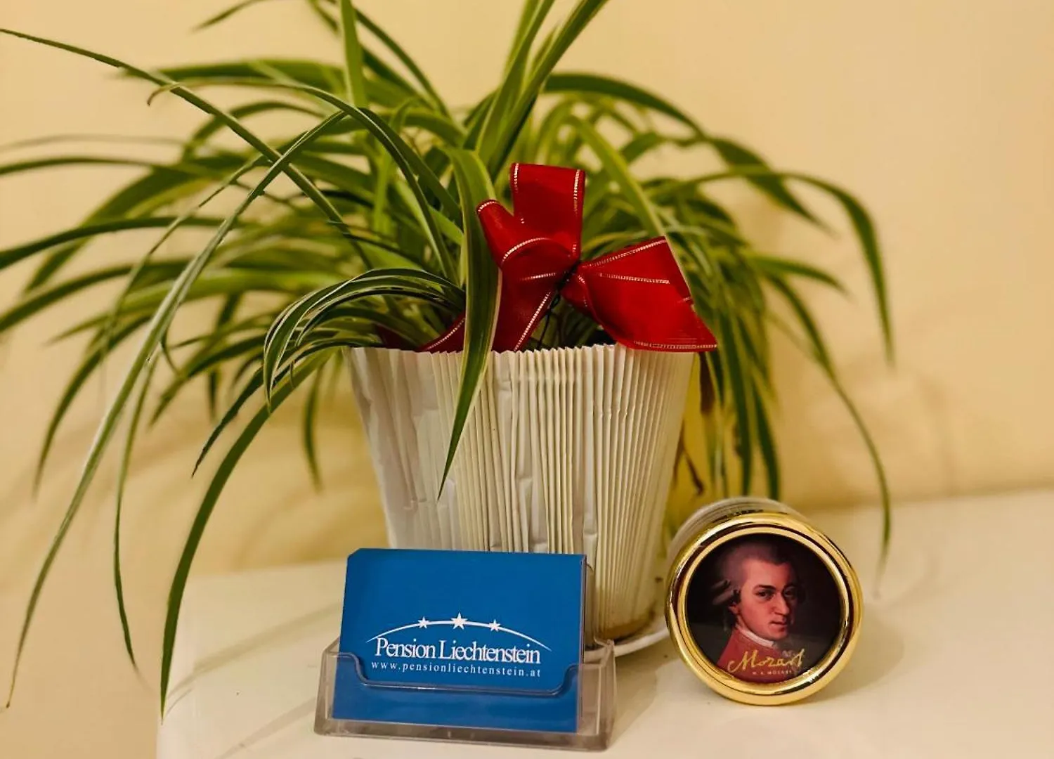 Bed & Breakfast Pension Liechtenstein Vienna