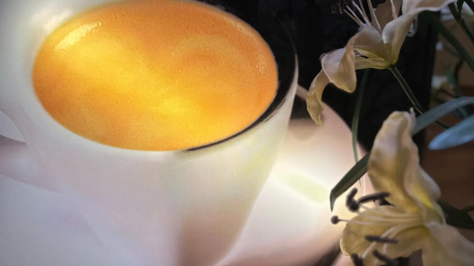 Bed & Breakfast Pension Liechtenstein Vienna